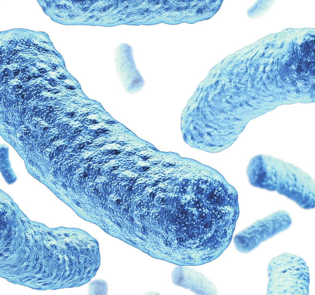 5. Analytical aspects Molecular biological methodologies, especially ribotyping by polymerase chain reaction (PCR), are an important area of analysis for samples of human and animal origin (2).