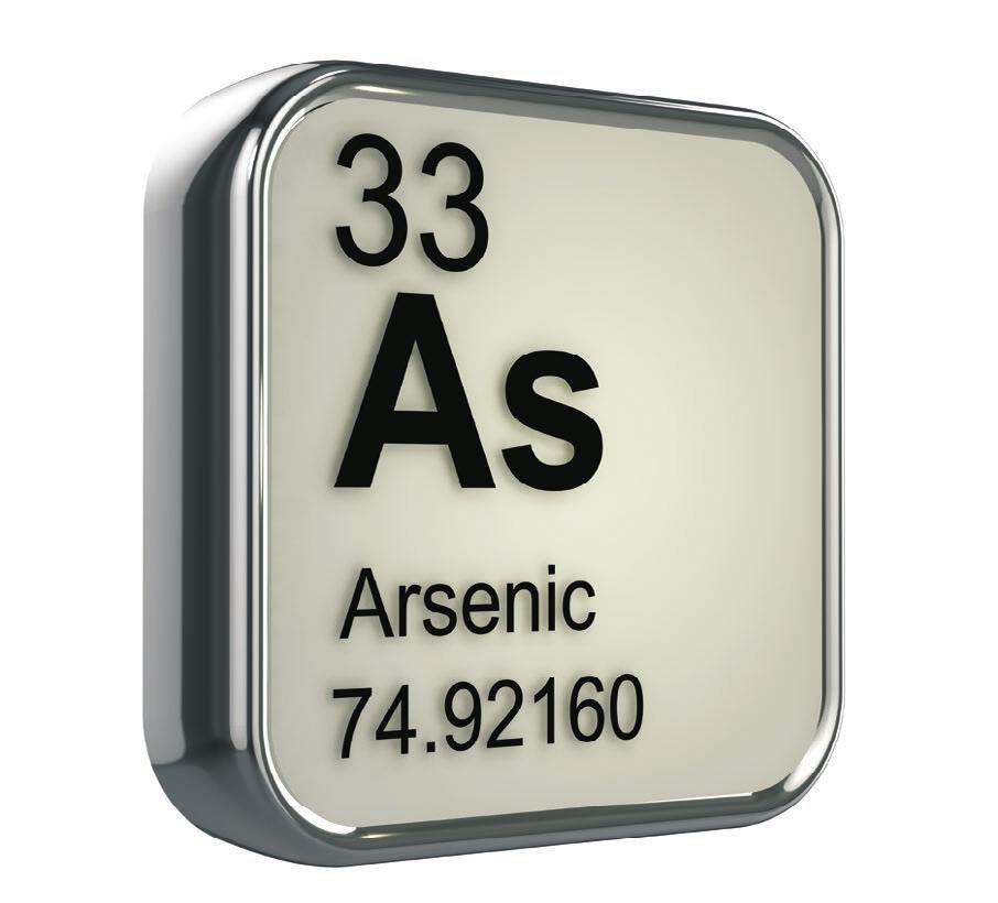 3. táblázat: Példa a napi étrend által bevitt arzén becslésére (70 kg-os személyre ~0,4 μg/testtömeg kg/nap) Table 3: Examples for the estimation of daily arsenic intake with foods (~0.