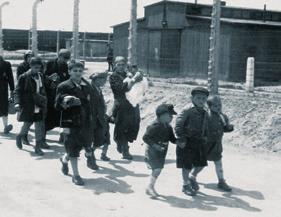 Magyar zsidó anyák és gyermekek a gázkamrák