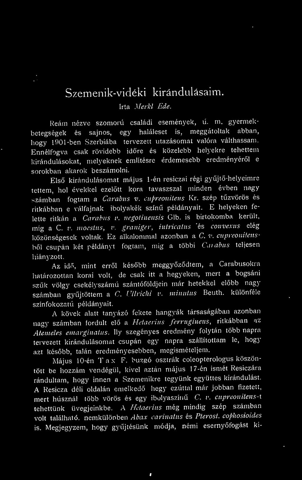 szép tzvörös és ritkábban e válfajnak ibolyakék szín példányait. E helyeken felette ritkán a Carabus v. negotinensis Glb. is birtokomba került. míg a C. v. moesius, v.
