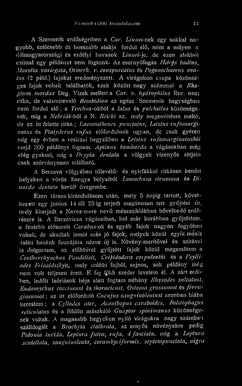 nem ritka, de valamirevaló Bembidion az egész Szemenik hegységben nem fordul el ; a Trech //s-okból a latus és pnlcliellus közönségesek, míg a Nebriák-ból a N.