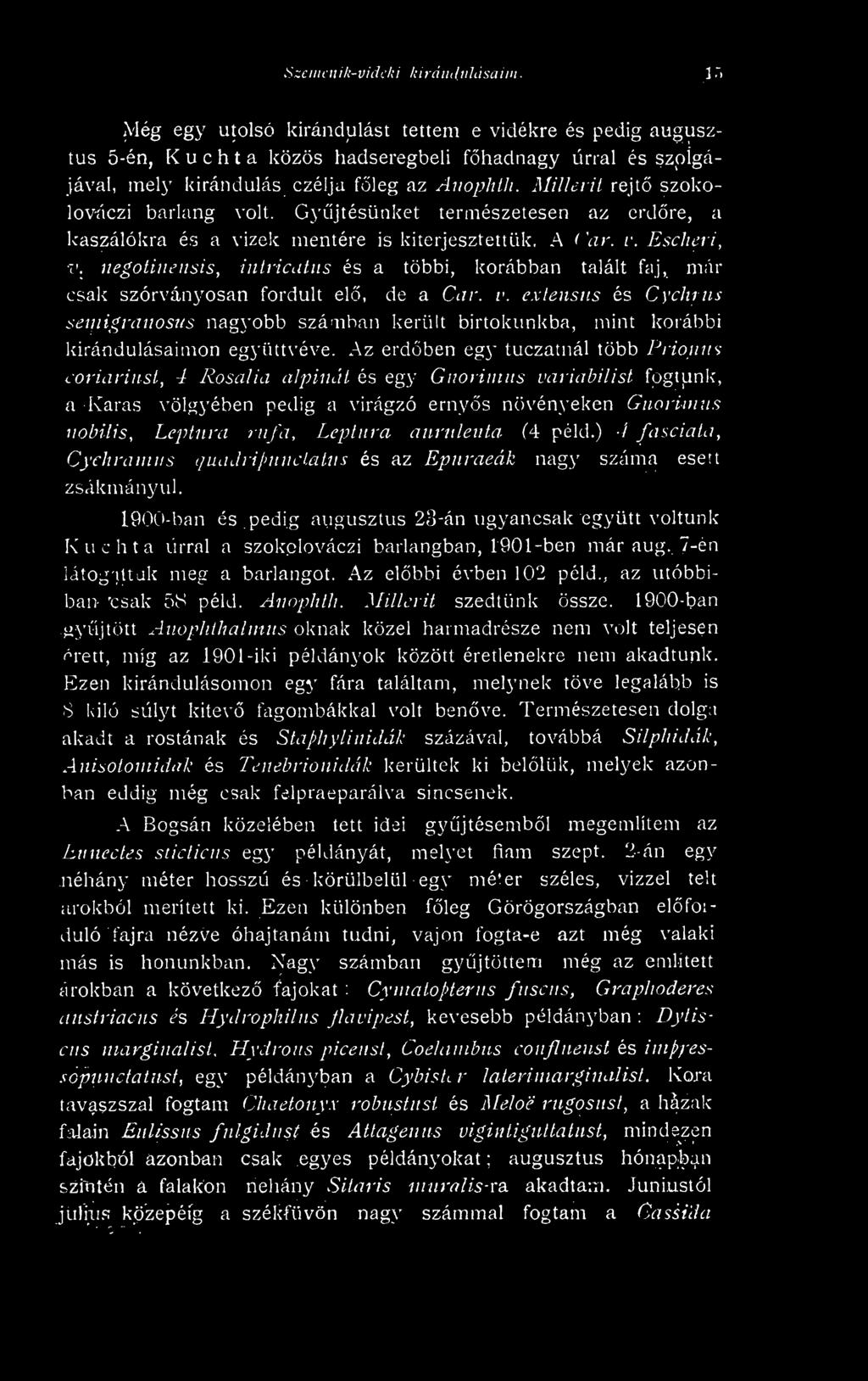 MillerU rejt szokolováczi barlang volt. Gyjtésünket természetesen az erdre, a Icaszálókra és a vizek mentére is kiterjesztettük. A ( ar. r. Escheri, v.