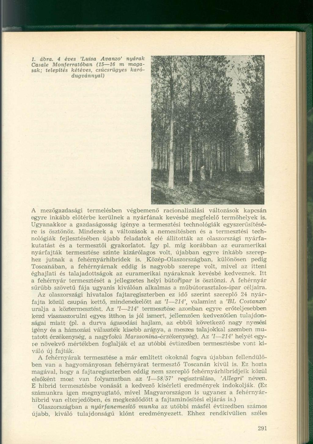 1. ábra.