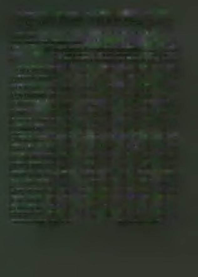 t un r rnn U lti i (M \I II A kettős könyvvitelt vezető egyéb szervezet egyszerű sített b eszám olója és k özhaszn úsági m elléklete A z e g y s z e r ű s ít e t t é v e s b e s z á m o ló e r e d m