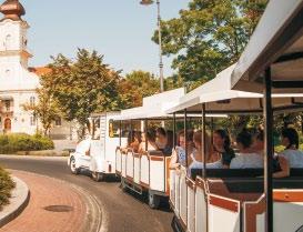 gyermekorvosi ügyelet, akkor továbbra is a felnőtt háziorvosi ügyelet végzi a betegellátási feladatokat.