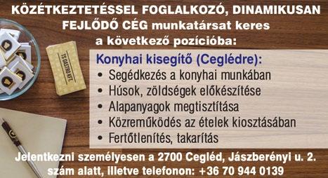 www. dpmsz.