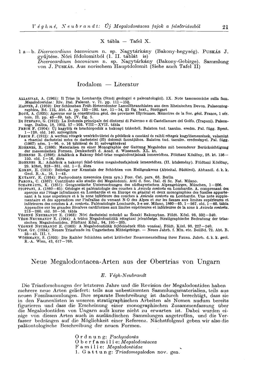 V é g h n é, Neubrandt: Új M egalodontacea fajok a felsőtriászból 21 X tábla - Tafel X. 1 a b. Dicerocardium baconicum n. sp. Nagytárkány (Bakony-hegység). PUSKÁS J. gyűjtése. Nóri fődolomitból (1.