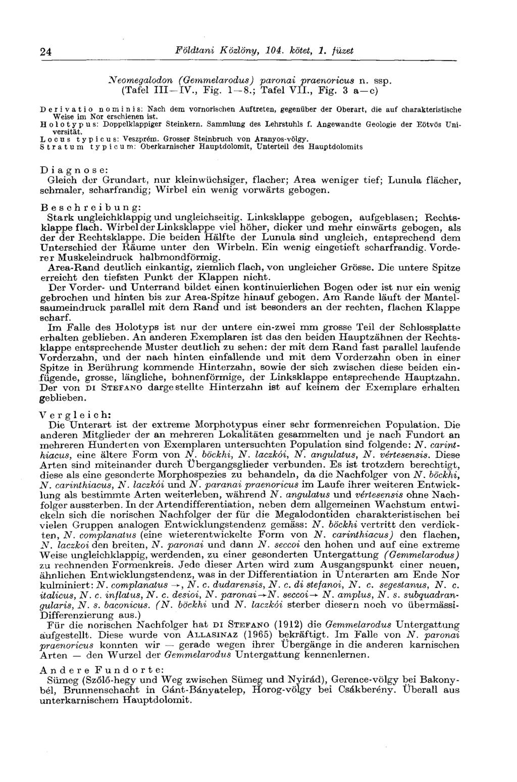 24 Földtani Közlöny, 104. kötet, 1. füzet Neomegalodon (Gemmelarodus) paronai praenoricus n. ssp. (Tafel III-IV., Fig.