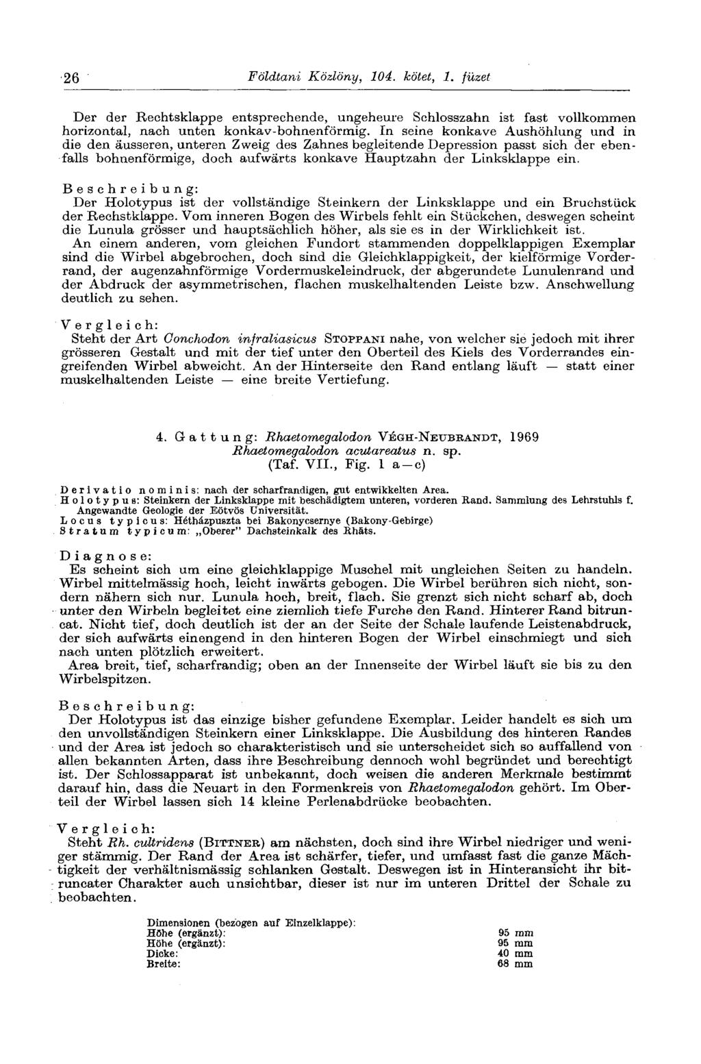 26 Földtani Közlöny, 104. kötet, 1. füzet Der der Rechtsklappe entsprechende, ungeheure Schlosszahn ist fast vollkommen horizontal, nach unten konkav-bohnenförmig.