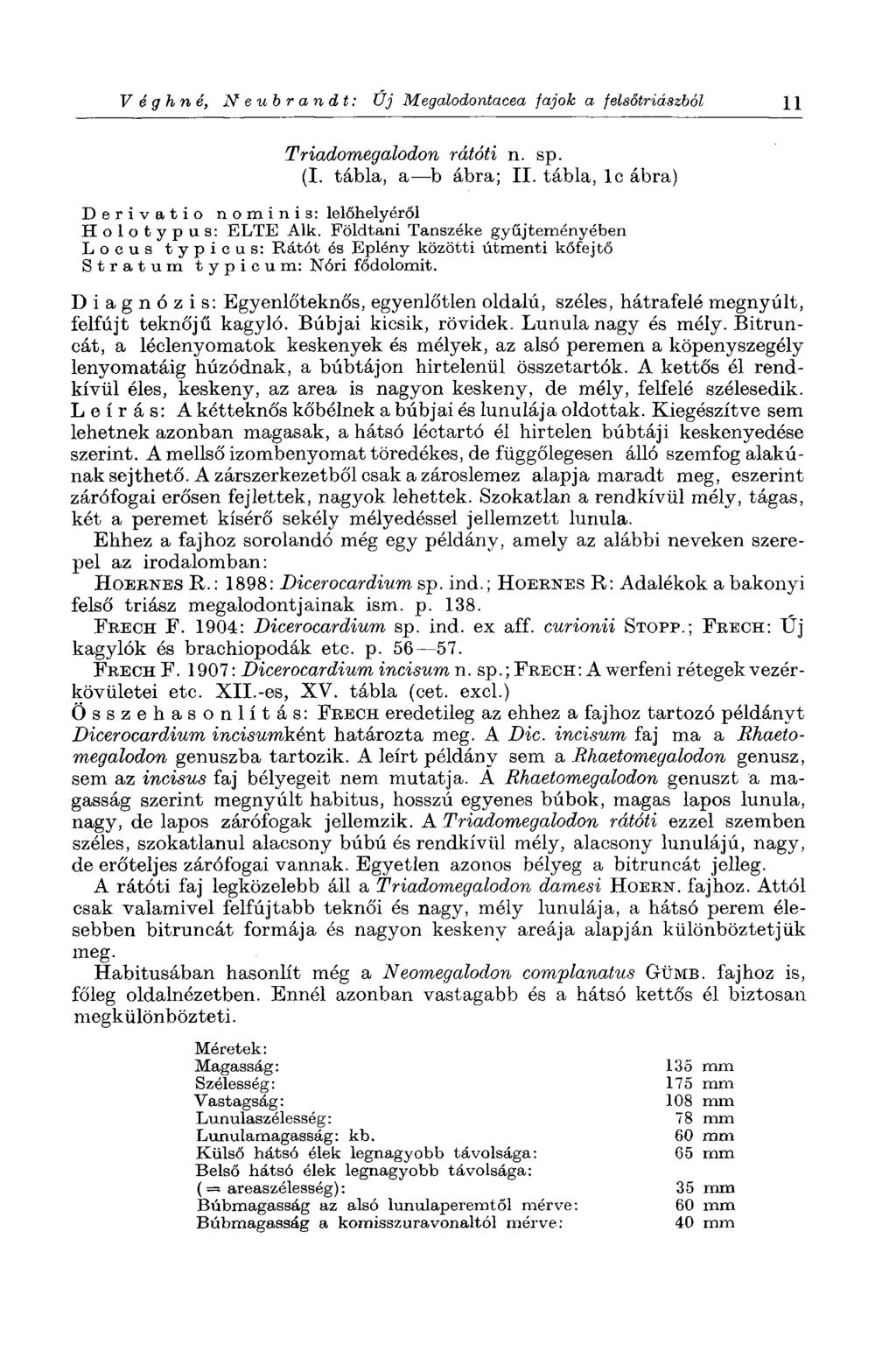 V é g hné, Neubrandt: Új Megalodontacea fajok a felsőtriászból 11 Triadomegalodon rátóti n. sp. (I. tábla, a b ábra; II. tábla, lc ábra) Derivatio nominis: lelőhelyéről Holotypus: ELTE Alk.