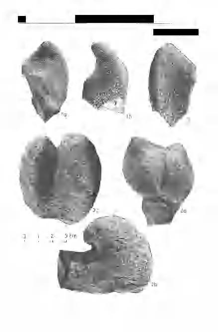 34 Földtani