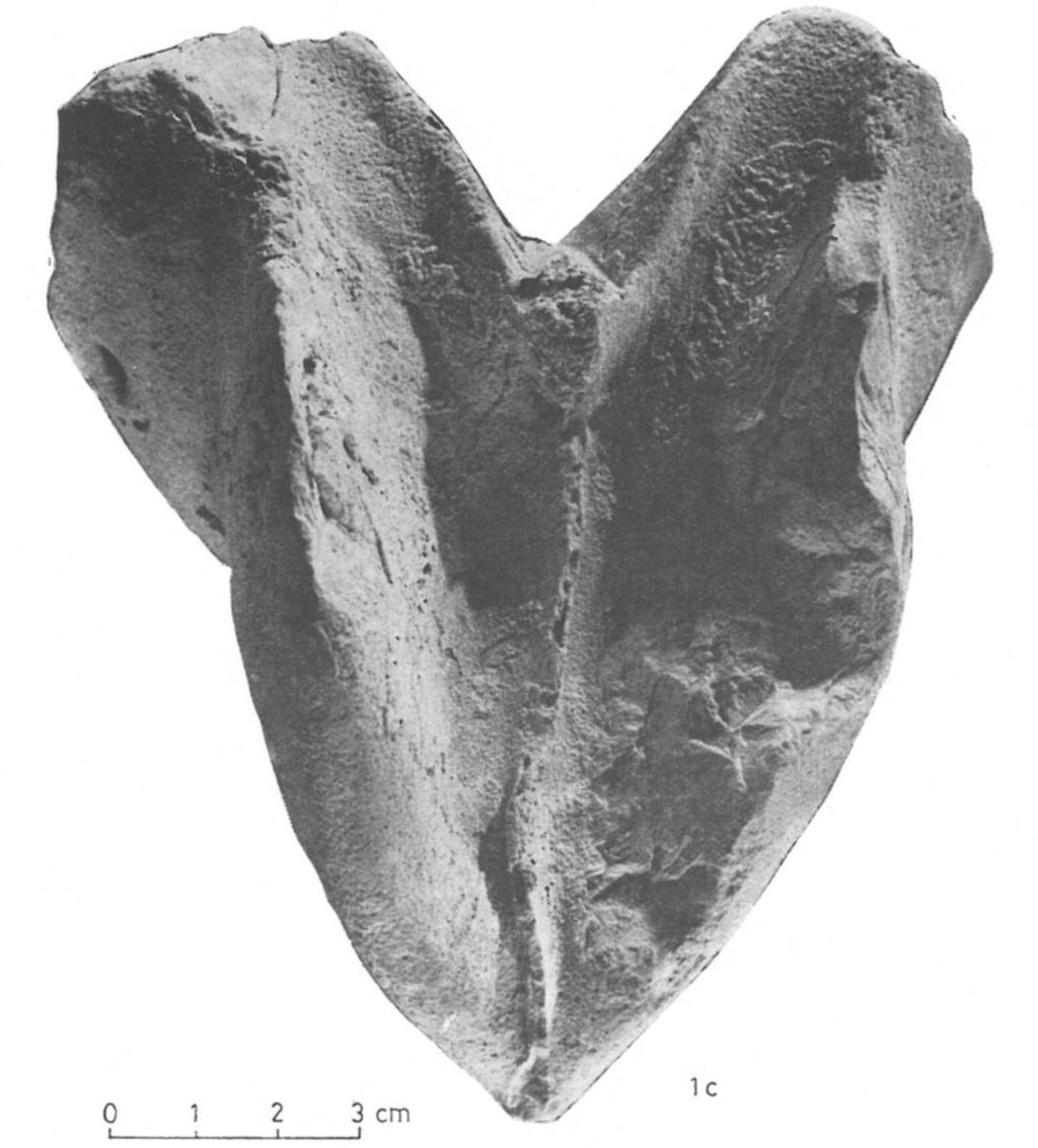 kötet, 1.