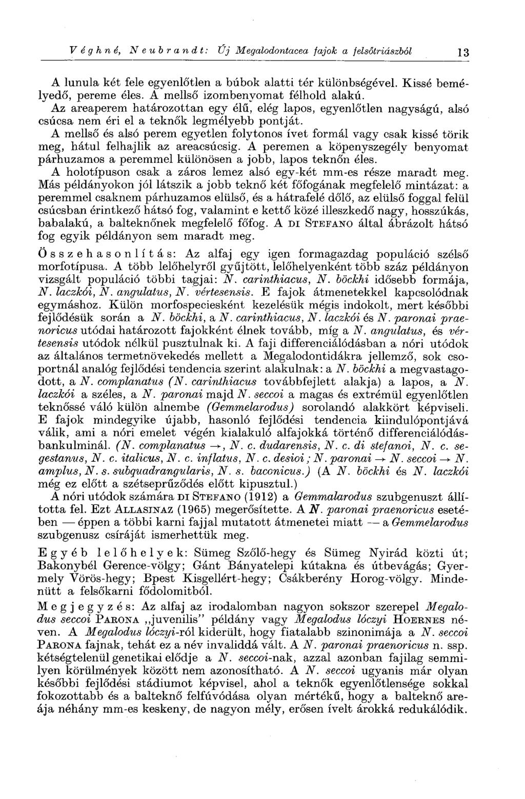 V é g h n é, Neubrandt: Uj Megalodontacea fajok a felsőtriászból 13 A lunula két fele egyenlőtlen a búbok alatti tér különbségével. Kissé bemélyedő, pereme éles. A mellső izombenyomat félhold alakú.