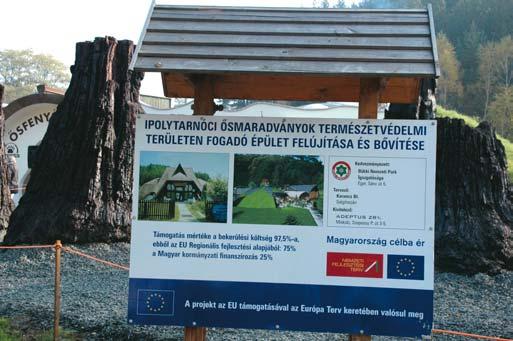 Ragasztó menti meg az õsfákat? Új eljárás a nyolcmillió éves mocsári cipruserdõ maradványainak megmentésére Világszenzációnak számít a Mátrai Erõmû Zrt.