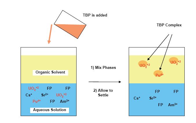 PUREX Process- Basic principles UO 2 2+ + 2NO 3- + 2TBP UO 2