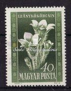 , 1,78 Ft 1951. Magyar-Szovjet Barátság, fakó nyomat 1005. tétel 1950. Virág I., tévnyomat.