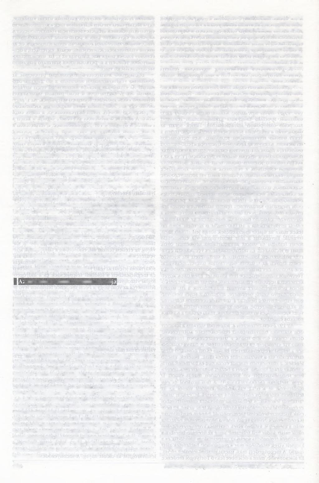 lisan határozottan frontszerűen nyomul előre, bizonyos irányokba kitüntetetten.