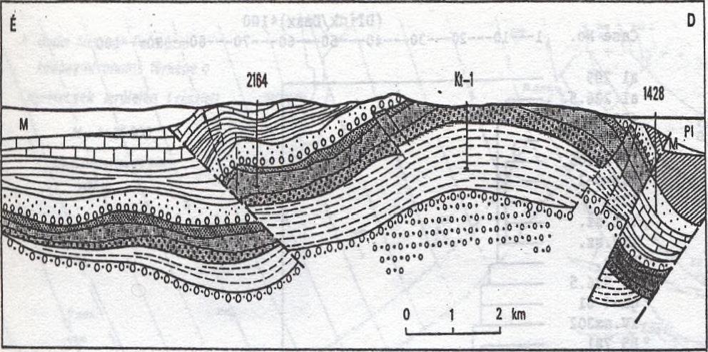 Ebben az időszakban (1965-1985) elsősorban a formációt magába foglaló 3000-5000 m vastagságú konszolidált, perm-triász összlet szerkezetalakulásával, fácies és üledékföldtani bélyegeinek