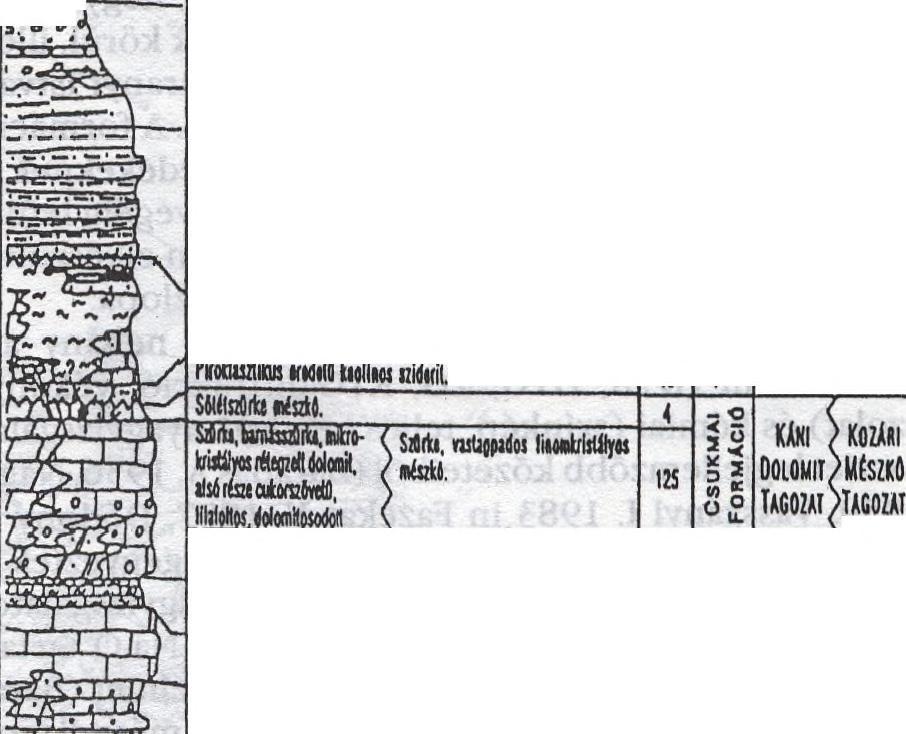 Itt említést kell tenni a Bodai Formáció területét érintő különböző geofizikai, radiometriai és geokémiai jellegű mérésekről is, melyek közvetve gyarapították az ismereteket (elsősorban szerkezeti és