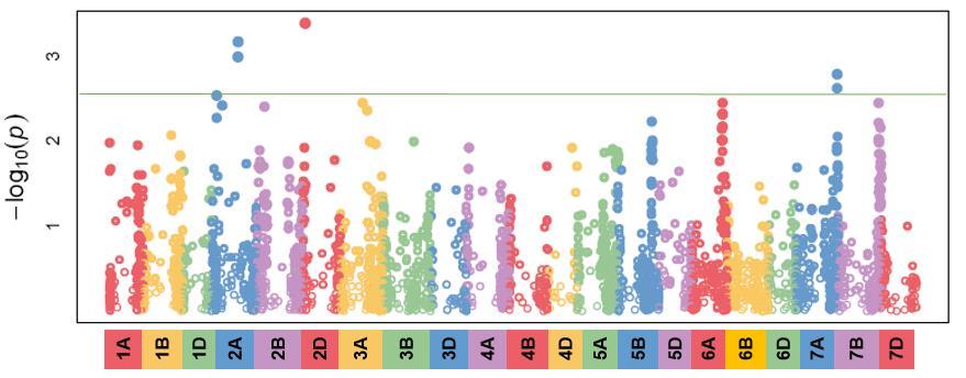 1. ábra: Manhattan plot, a 21.