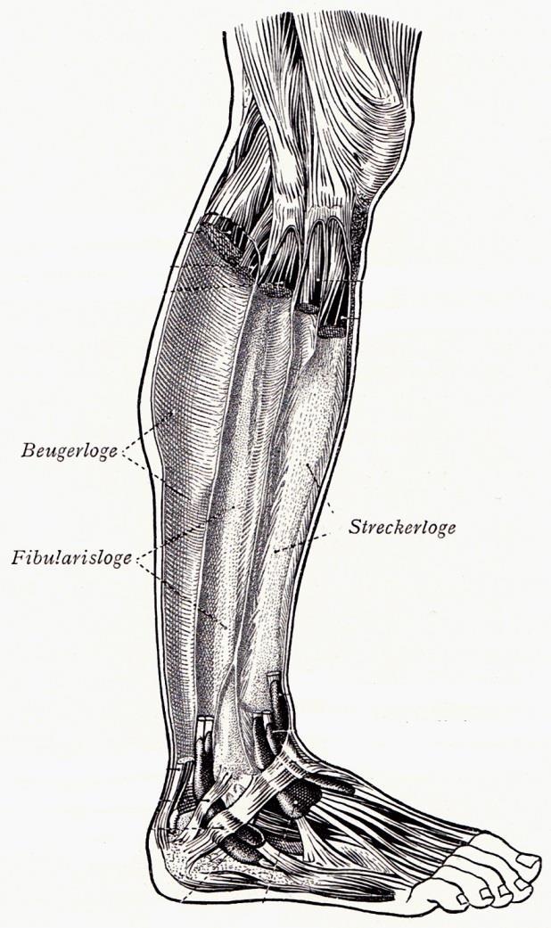 Benninghoff emedicalpptblogspot.