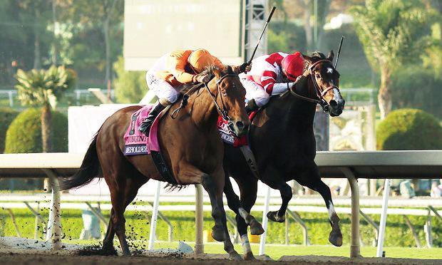 Kezdjük is a magyar idő szerint szombat éjszaka lefutott Breeders Cup Classic futamával, ahol igazából csak az volt a kérdés, hogy az idén még veretlen sárga California Chrome (Victor Espinoza), vagy