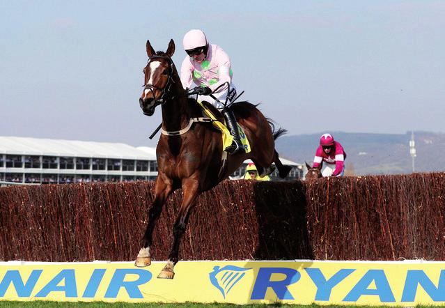 Honey (Javier Castellano) ért haza. A Breeders Cup Dirt Mile is csillaghullást hozott, Dortmund ugyanis még placcra sem fért fel, itt Tamarkuz (Mike Smith) látványos stílusban verte a riválisokat.