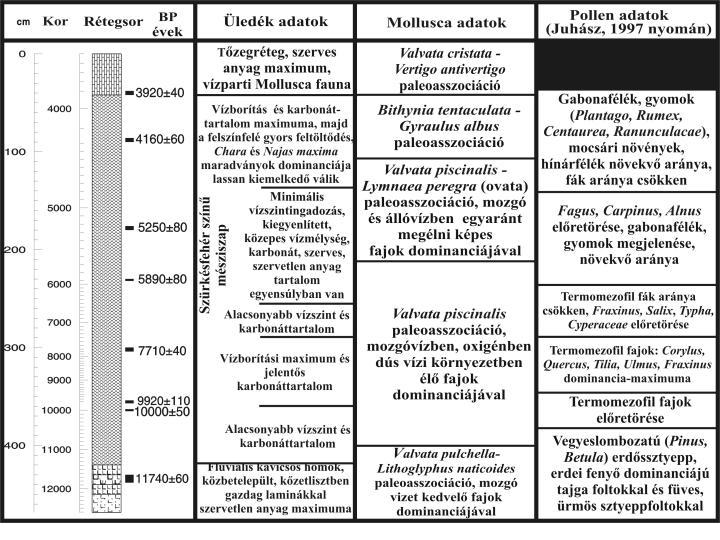 3. ábra.