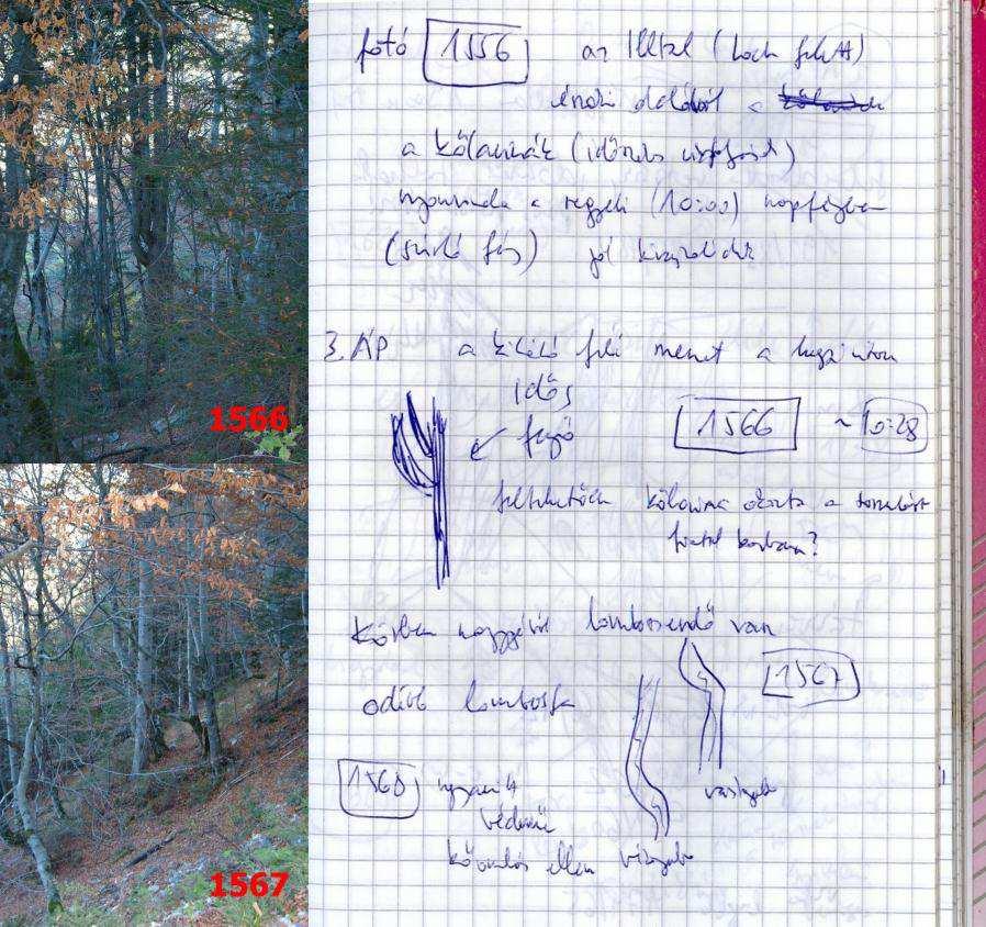 1.14. A terephely meghatározása 25 1.13.4. ábra: A megfigyelt (és lefényképezett) jelenség (itt: lejtős tömegmozgásokra utaló jelek), és az ugyanezt a jelenséget rajzban lényegileg kiemelő jegyzőkönyvi rajzok összehasonlítása.