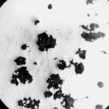 ábra: ferrites vasból (EN-GJS 400) öntött csapágy szövete 12 perces öntési idővel, nagyítás 100x.