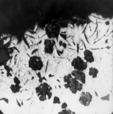 Chimica cta Scientiarum Transylvanica, 19 20/3, 2011 2012. az öntvényeket lágyító hőkezelésnek vetettük alá az ütőmunka növelése érdekében. 11. ábrán a kalapácsból vett minta szövete látható.