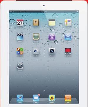 11004 APPLE
