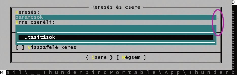 Mesterfogások nunk, ez beírja a Registrybe a SaveSettings által elmentett információt. A szoftver legnagyobb erőssége a rengeteg kiegészítőben rejlik.