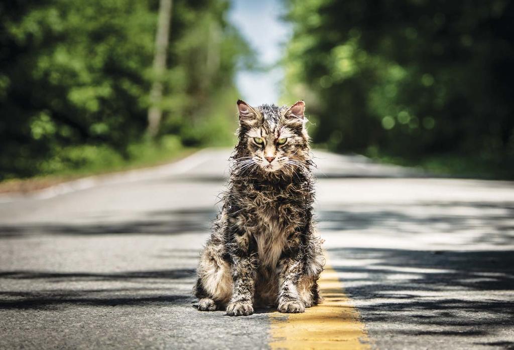 Pet Sematary Rendezte: Kevin Kölsch, Dennis Widmyer Szereplők: Jason Clarke, John Lithgow, Amy Seimetz, Hugo Lavoie, Jeté Laurence Magyarországi bemutató: 2019.