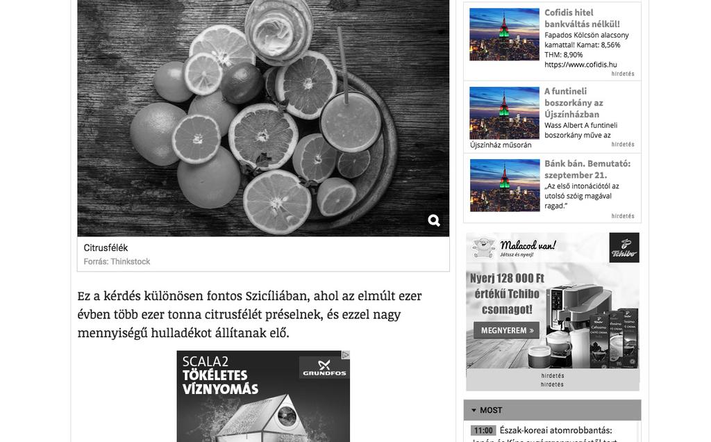 BANNER MEGJELENÉSEK KÉPES
