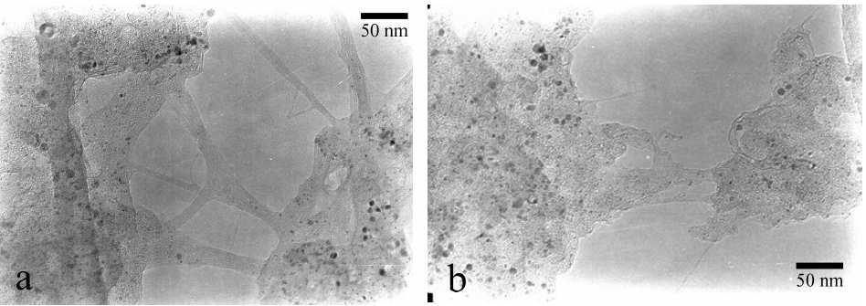 egyiknél a katalizátormennyiség változott, 4, 8, 16 és 32 g-ot vizsgáltunk, ezek 1,25; 2,5; 5 és 10 mm rétegvastagságnak feleltek meg. Itt a reakcióidő 15 perc volt.