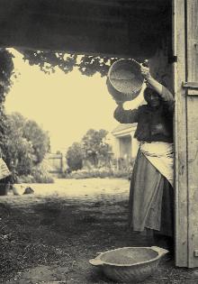 15. kép. Lenmagszelelés rostával (Laskó, Baranya megye, 1942) 16. kép. Lenmagcséplés sulyokkal (Nagydobrony, Bereg megye 1943) A lenmag kézi cséplése és tisztítása során a len magjához hasonló tulajdonságú gyommagvak a vetômagelegyben maradtak.