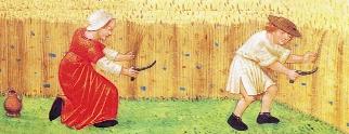 14. ábra. Aratási jelenet a középkorból, az 1500 körüli idôkbôl. A piros foltok pipacsot a kékek búzavirágot ábrázolnak. (Flemish Book of Hours Fitzwilliam Múzeum, Cambridge; GREIG 1991 nyomán) 15.