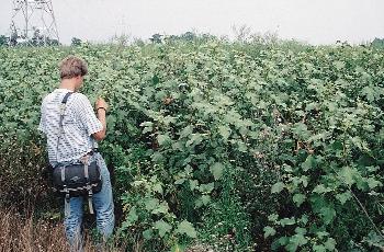 109. kép.