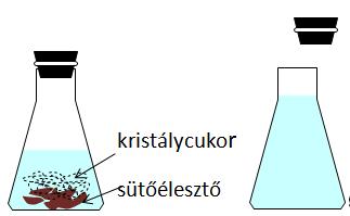 A folyamat során hő is termelődik, ezért a lombik kissé felmelegedett. Házi feladat Kísérletezni nem csak a laboratóriumokban lehet.