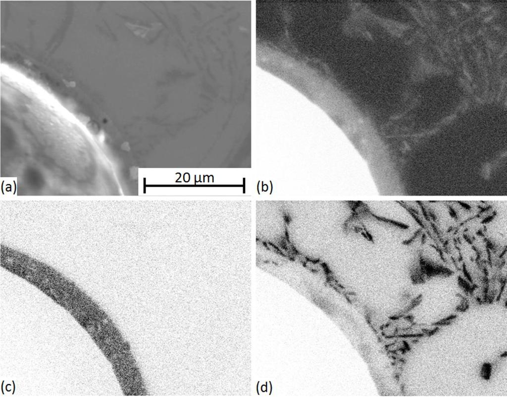 Az Al szemszék között lemezes szerkezetű szövetelem, Al-Si eutektikum figyelhető meg (3.13d. ábra).