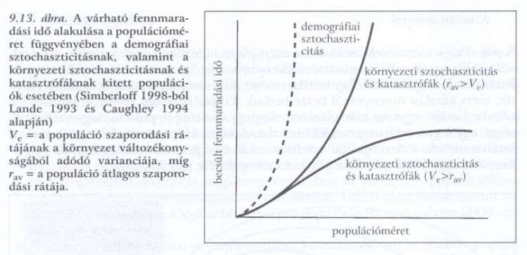 Demográfiai változások -Demográfiai sztochaszticitás (előre nem látható, véletlen események) kb. 50-es egyedszám alatt Allé-hatás- bizonyos pop.