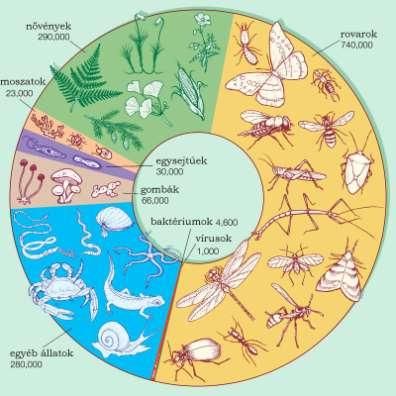 Hány faj él a földön? Jelenleg ~1.700.000 faj ismert, de az újabb becslések alapján kb. 3-5 millió lehet.