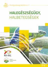 elindító és ötletgazda Korinek László, illetve a Magyar Gazdakörök és Gazdaszövetkezetek Szövetsége (Magosz) megállapodása szerint a szervezet és a Nemzeti Agrárgazdasági Kamara folytatja.