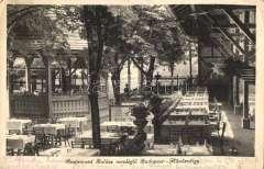 Pest hidegkút, Hidegkúti