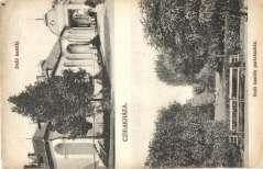 Cegléd, utcakép, floral,