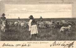 Hortobágy, méne s terelés