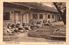 1899 Medgyes, M ediasch,