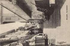 street, trams, shop 1000