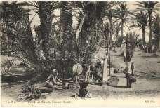 Algerie, Behnaz in ex-roi